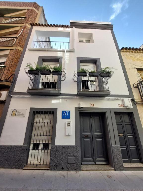 Apartamentos San Salvador Parking Gratis Mérida Exterior photo